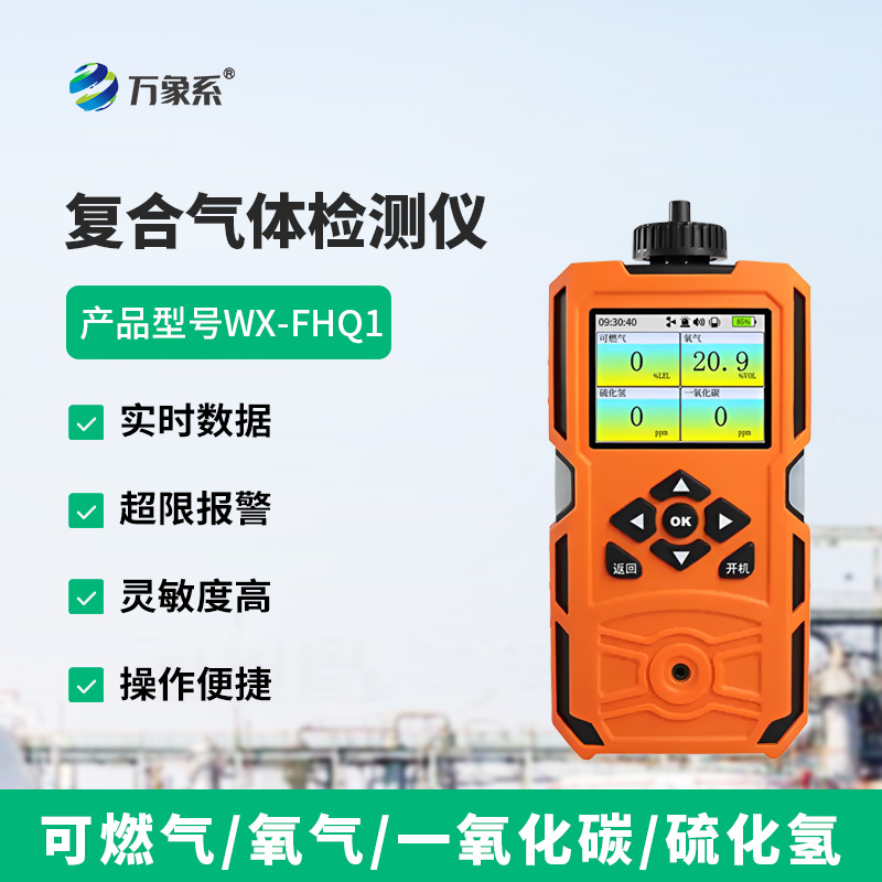 復(fù)合氣體檢測儀